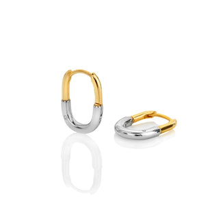 Pozlacené stříbrné náušnice Hot Diamonds Carabiner DE914