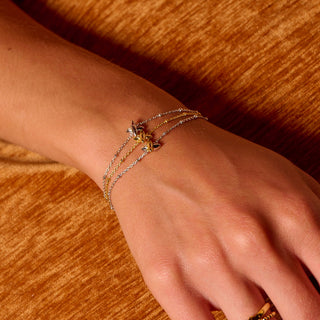 Pozlacený stříbrný náramek Hot Diamonds X Golden Edit Coupled DL727