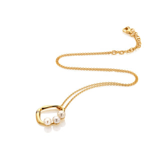 Pozlacený stříbrný náhrdelník Hot Diamonds X Golden Edit Pearl DN256