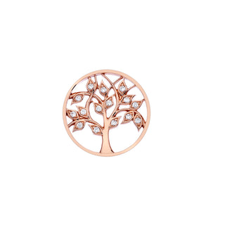 Přívěsek Hot Diamonds Emozioni Balance and Harmony Coin Rose Gold 25 mm EC428