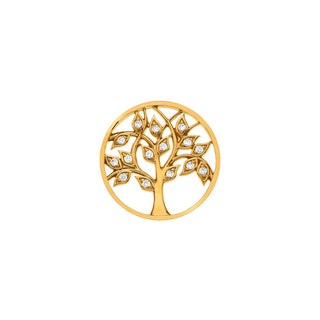 Přívěsek Hot Diamonds Emozioni Balance & Harmony Coin 25 mm EC552
