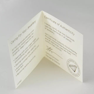 Stříbrné náušnice Hot Diamonds Eternity Interlocking Silver Stud DE308