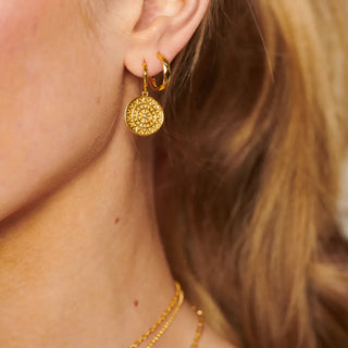 Pozlacené stříbrné náušnice Hot Diamonds X Golden Edit Athena DE890