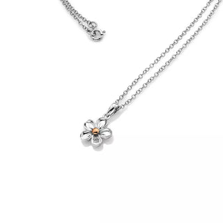 Přívěsek Hot Diamonds Forget me not RG DP749