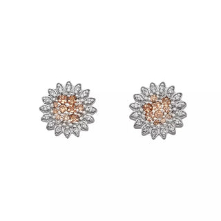 Stříbrné náušnice Hot Diamonds Emozioni Spirzzare EE032
