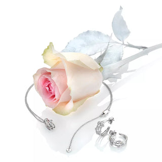 Stříbrné náušnice Hot Diamonds Tender DE641
